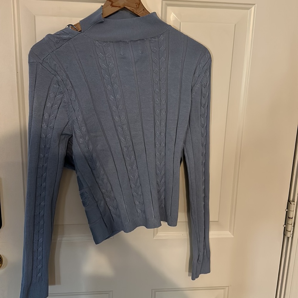 Pink Rose Blue Sweater - Picture 4 of 4